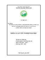 Kỹ thuật ương giống cá rô phi đơn tính cát phú tại trung tâm khoa học kỹ thuật và sản xuất giống thủy sản quảng ninh