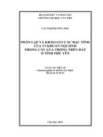 Phân lập và khảo sát các đặc tính của vi khuẩn nội sinh trong cây lúa trồng trên đất ở tỉnh phú yên 