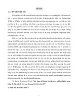 Sáng kiến kinh nghiệm   xây dựng hệ thống bài tập trắc nghiệm khách quan bằng đồ thị và hình vẽ trong chương trình hóa học 10