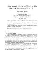 Quản lý nguồn nhân lực tại công ty cổ phần điện tử tin học hóa chất (ELINCO) 