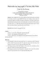 Phát triển các làng nghề ở từ sơn, bắc ninh 