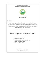 Thực hiện quy trình kỹ thuật ương nuôi cá rô phi (o  niloticus) đơn tính đực từ 21 ngày tuổi đến cá cỡ 2   3cm trong ao tại trung tâm giống thủy sản hòa sơn   huyện phú bình   tỉnh thái nguyên