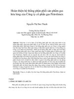 Hoàn thiện hệ thống phân phối sản phẩm gas hóa lỏng của công ty cổ phần gas petrolimex 