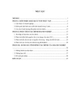 Phân tích tài chính doanh nghiệp ở tại Công Ty Cổ Phần Thương Mại Nam Thăng Long