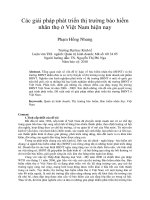 Các giải pháp phát triển thị trường bảo hiểm nhân thọ ở việt nam hiện nay 