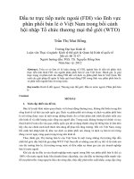 Đầu tư trực tiếp nước ngoài (FDI) vào lĩnh vực phân phối bán lẻ ở việt nam trong bối cảnh hội nhập tổ chức thương mại thế giới (WTO) 