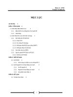 thiết kế và thi công mạch điều khiển oto từ xa sử dụng sóng rf qua máy tính