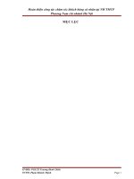 Hoàn thiện công tác chăm sóc khách hàng cá nhân tại ngân hàng thương mại cổ phần Phương Nam chi nhánh Hà Nội