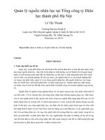 Quản lý nguồn nhân lực tại tổng công ty điện lực thành phố hà nội 