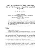 Năng lực cạnh tranh của ngành công nghệp điện tử việt nam trong bối cảnh hội nhập kinh tế quốc tế 