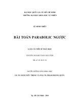 Luận án Bài toán parabolic ngược