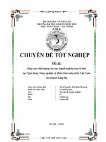 Nâng cao chất lượng cho vay doanh nghiệp vừa và nhỏ tại ngân hàng Nông nghiệp và Phát triển nông thôn Việt Nam-chi nhánh Láng Hạ