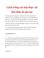 Cách trồng các loại thực vật làm thức ăn gia súc