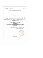 Nghiên cứu ảnh hưởng của một số yếu tố tới khả năng hấp thụ qua da của indomethacin