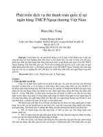 Phát triển dịch vụ thẻ thanh toán quốc tế tại ngân hàng TMCP ngoại thương việt nam 