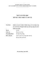 Nghiên cứu một số nhóm vi khuẩn đóng vai trò chủ đạo trong chu trình nitơ và phospho nhằm mục đích ứng dụng để xử lý ô nhiễm môi trường