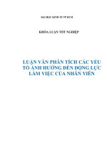 Mức độ ảnh hưởng của môi trường làm việc đến động lực làm việc