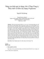 Nâng cao hiệu quả sử dụng vốn ở tổng công ty thủy tinh và gốm xây dựng (viglacera) 