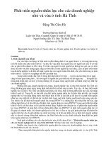 Phát triển nguồn nhân lực cho các doanh nghiệp nhỏ và vừa ở tỉnh hà tĩnh 