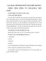 VẬN DỤNG mô HÌNH PHÂN TÍCH môi TRƯỜNG “PHÂN TÍCH CÔNG TY COCACOLA VIỆT NAM”
