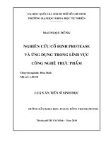Nghiên cứu sự cố định protease và ứng dụng trong lĩnh vực công nghệ thực phẩm