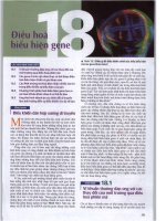 TỪ ĐIỂN SINH HỌC CAMPBELLchương 18 điều hòa và biểu hiện gene