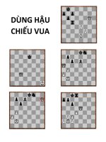 bài tập cờ vua chiếu bí bằng hậu xe mã