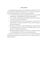 nghiên cứu xác định mặt phân cách giữa hai môi trường không hòa tan bằng chương trình mcnp5