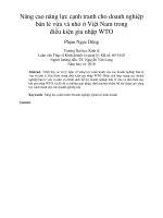 Nâng cao năng lực cạnh tranh cho doanh nghiệp bán lẻ vừa và nhỏ ở việt nam trong điều kiện gia nhập WTO 