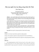 Đào tạo nghề cho lao động nông thôn hà tĩnh 