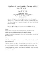 Nguồn nhân lực cho phát triển công nghiệp tỉnh bắc ninh 