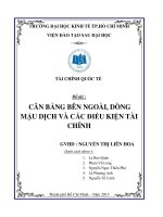 Tiểu luận môn tài chính quốc tế CÂN BẰNG BÊN NGOÀI, DÒNG MẬU DỊCH VÀ CÁC ĐIỀU KIỆN TÀI CHÍNH