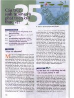 chương 35 cấu trúc sinh trưởng và phát triển của động vật