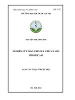 Nghiên cứu bào chế gel chứa nano piroxicam