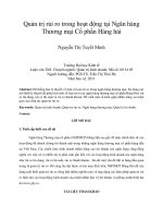 Quản trị rủi ro trong hoạt động tại ngân hàng thương mại cổ phần hàng hải 