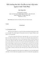 Môi trường thu hút vốn đầu tư trực tiếp nước ngoài ở tỉnh vĩnh phúc 