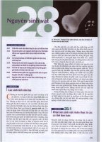 TỪ ĐIỂN SINH HỌC CAMPBELLchương 28 nguyên sinh vật