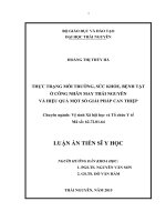 Thực trạng môi trường, sức khỏe, bệnh tật ở công nhân may thái nguyên và hiệu quả một số giải pháp can thiệp