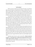 Phân tích tình hình tài chính và các biện pháp nâng cao hiệu quả hoạt động kinh doanh tại công ty TNHH Funing Precision Component