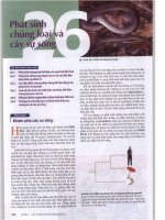 TỪ ĐIỂN SINH HỌC CAMPBELLchương 26 phát sinh chủng loại và cây sự sống