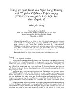 Năng lực cạnh tranh của ngân hàng thương mại cổ phần việt nam thịnh vượng (VPBANK) trong điều kiện hội nhập kinh tế quốc tế 