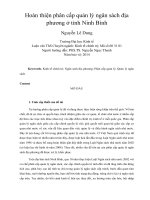 Hoàn thiện phân cấp quản lý ngân sách địa phương ở tỉnh ninh bình 