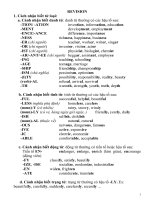 Tổng hợp từ vựng, ngữ pháp  tiến g anh lớp 12 