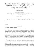 Phát triển văn hóa doanh nghiệp tại ngân hàng TMCP phát triển nhà đồng bằng sông cửu long – chi nhánh hà nội 