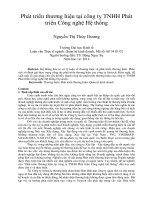 Phát triển thương hiệu tại công ty TNHH phát triển công nghệ hệ thống 