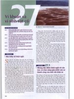 TỪ ĐIỂN SINH HỌC CAMPBELLchương 27 vi khuẩn và vi sinh vật cổ