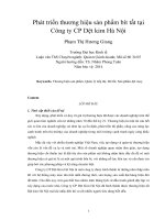 Phát triển thương hiệu sản phẩm bít tất tại công ty CP dệt kim hà nội 