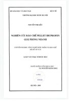 Nghiên cứu bào chế pellet ibuprofen giải phóng nhanh