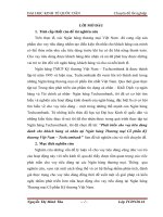 Phát triển cho vay tiêu dùng dành cho khách hàng cá nhân tại Ngân hàng Thương mại Cổ phẩn Kỹ thương Việt Nam – Techcombank