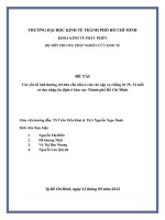 Tiểu luận: Các yếu tố ảnh hưởng tới nhu cầu nhà ở của các cặp vợ chồng từ 25 34 tuổi có thu nhập ổn định ở TP. Hồ Chí Minh